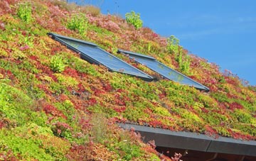 Oulton Heath living roof systems
